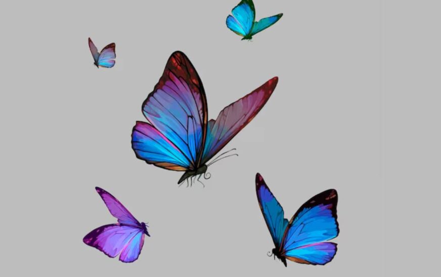 Dibujo:bsd7zdcroso= Mariposas